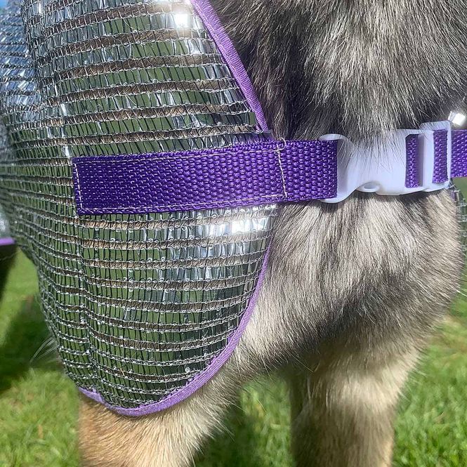 Main Image Silvertäcke, svalkar din hund. Finns i olika ...