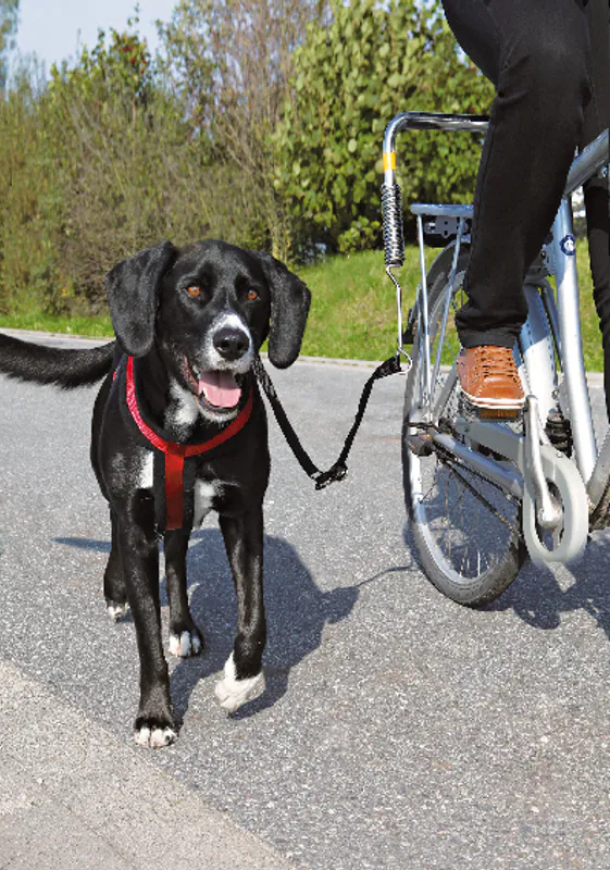 Cykelset för hundträning S-M