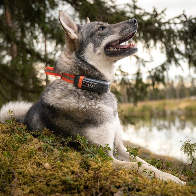 Hovedbillede Tracker - Luna