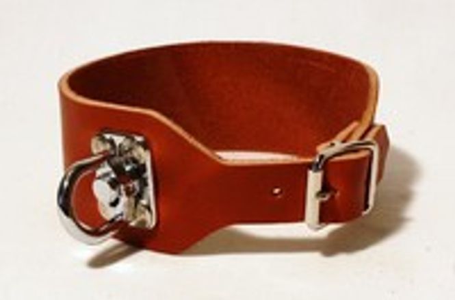 Hovedbillede ALAC - Spårhalsband